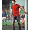Immagine di COPA Football - Maglia vintage Belgio anni '60 a manica corta.
