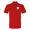 Immagine di Rugby Vintage - Galles Polo - Rosso