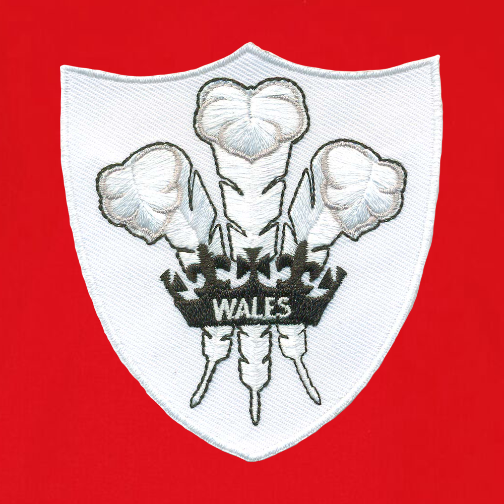 Coppa del Mondo Galles Under Armour Uomo Maglia da rugby 1341608-600