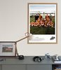Go Ahead Kampioen - 1917 (70 x 50 cm) Poster